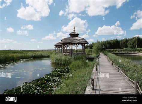  ¡Sumérgete en la Historia y la Naturaleza en el Parque Geológico de Jilin Songyuan!