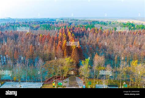 ¡El Jardín Botánico de Suqian: Una explosión de color y aromas que te dejarán sin aliento!