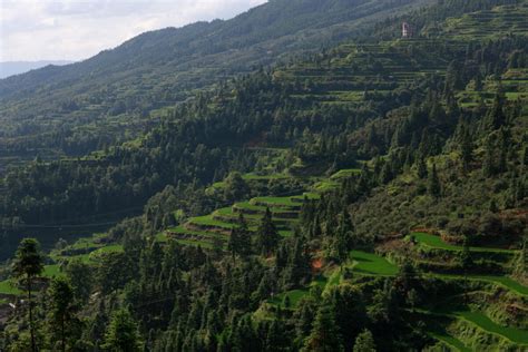 ¡Sumérgete en la Historia y Belleza del Parque Forestal de Suihua! Un Oasis Verde que te Encantará.