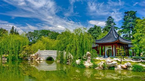 ¿El Jardín del Amante? Una joya botánica y un laberinto de romance en Suzhou!